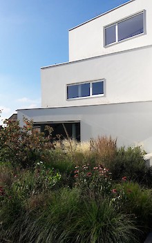 Extension to the existing building, the space in the basement is covered by a luxurious green roof